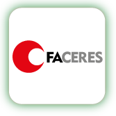 layout-imagem-amies-faceres